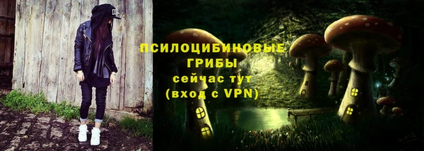 дмт Баксан