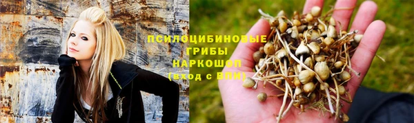 дмт Баксан