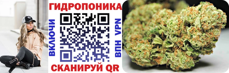 Бошки Шишки AK-47 Кущёвская